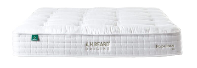 A. H. BEARD ORIGINS POPULACE QII PLUSH QUEEN MATTRESS